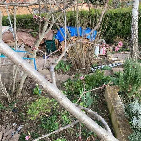 Apartamento Colmar Entier