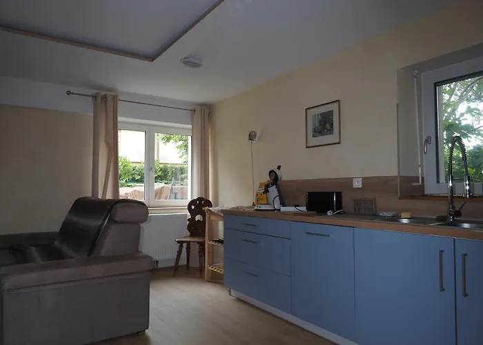 Colmar Entier Apartment Horbourg