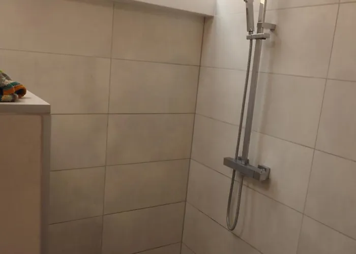 Apartment Colmar Entier *