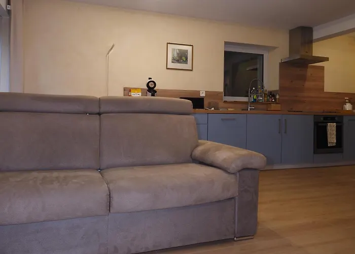 Colmar Entier Apartment *