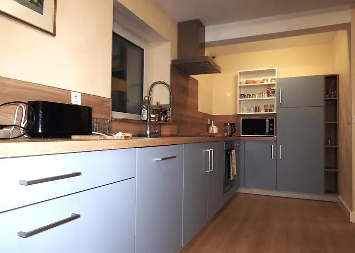 Colmar Entier Apartment Horbourg